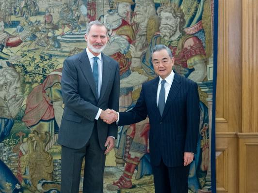 El rey Felipe VI de España se reúne con Wang Yi